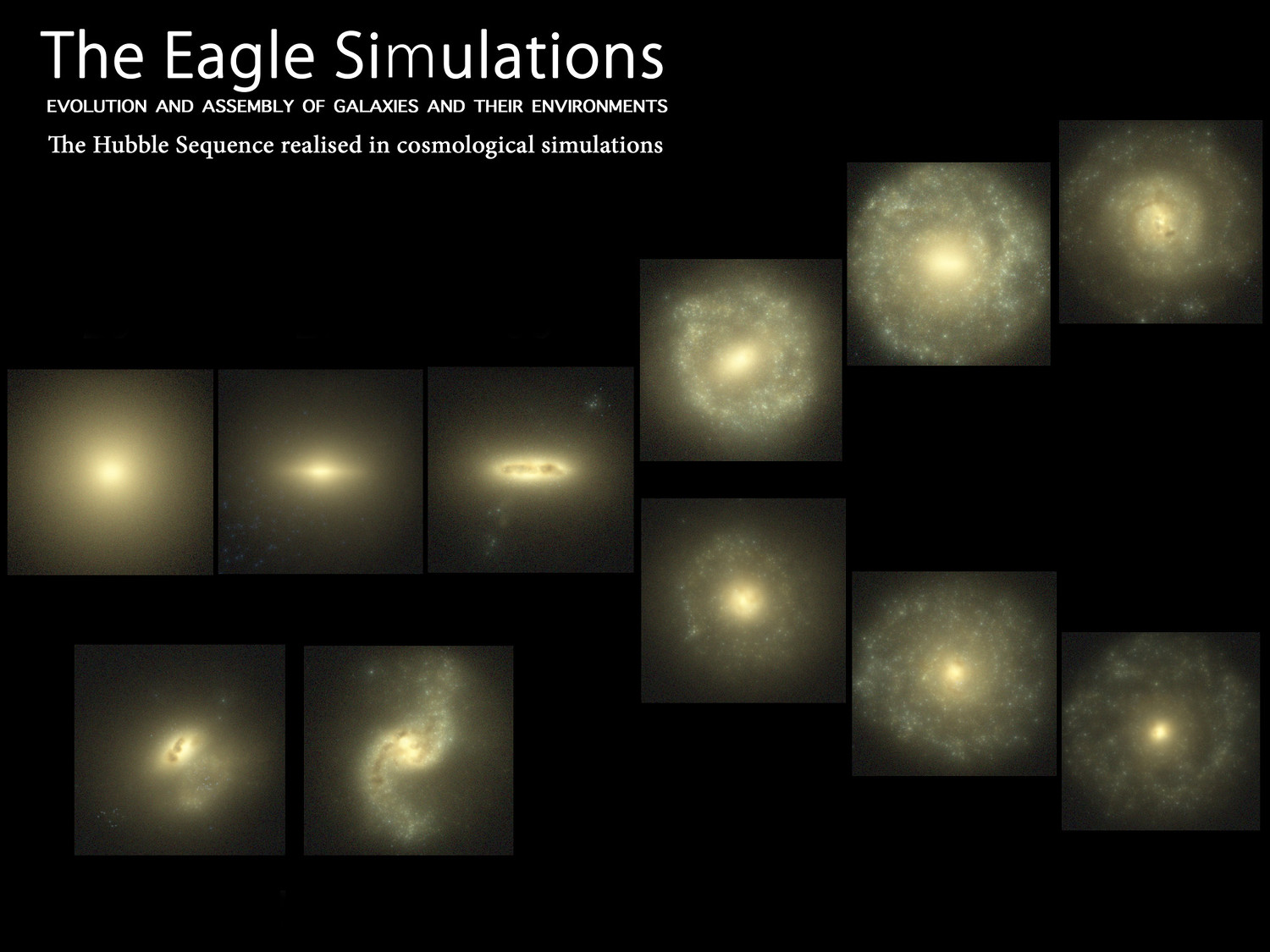 Morphology and color of EAGLE galaxy population