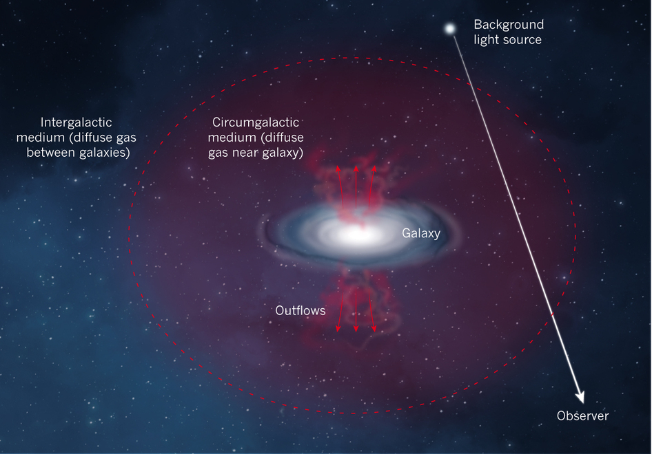 The Geometry and Kinematics of Circumgalactic Gas