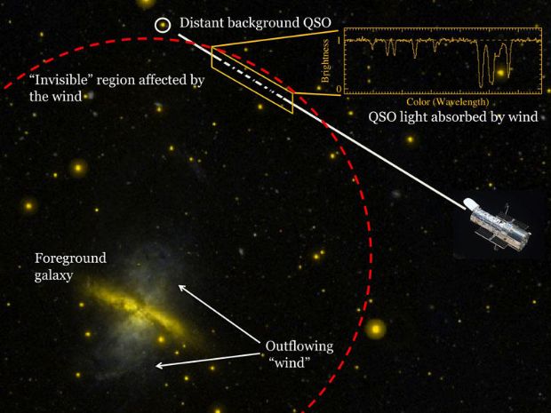 The Circumgalactic Medium in Absorption Lines using HST COS